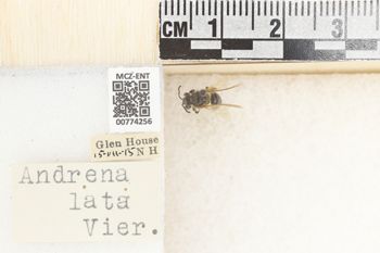 Media type: image;   Entomology 774256 Aspect: Labels